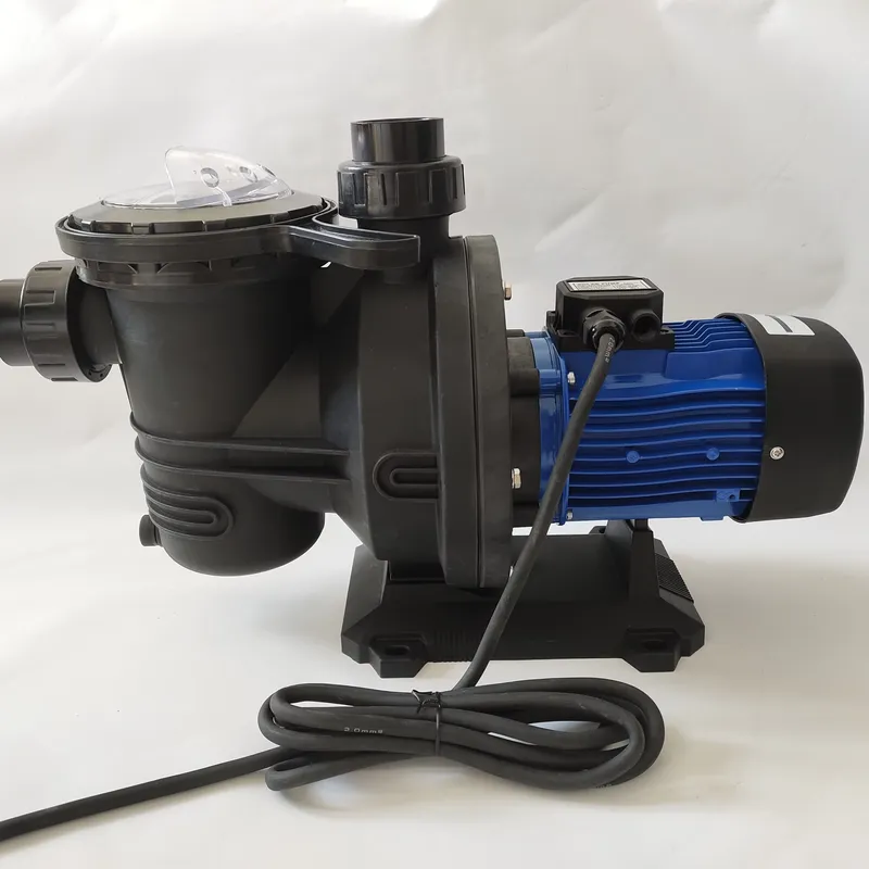 China Solar Pump Manufacturer  - Solar Pool Pump 48V Dc review and price