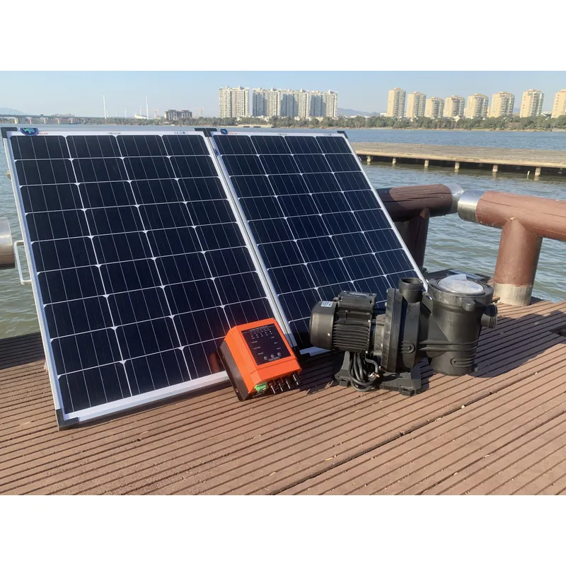 China Solar Pump Manufacturer  - Solar Pool Pump 48V Dc review and price