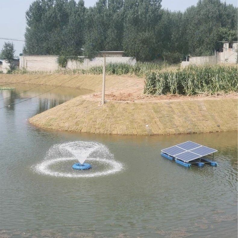 Solar Panel Surface 1.5kw DC 4 - Solar Pool Pump 48V Dc review and price