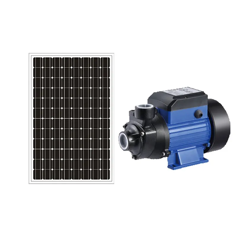 for 12V 24V Brushed Solar Pool - Solar Irrigation Pump 12V review and price
