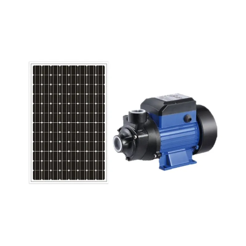 for 12V 24V Brushed Solar Pool - Solar Irrigation Pump 12V review and price
