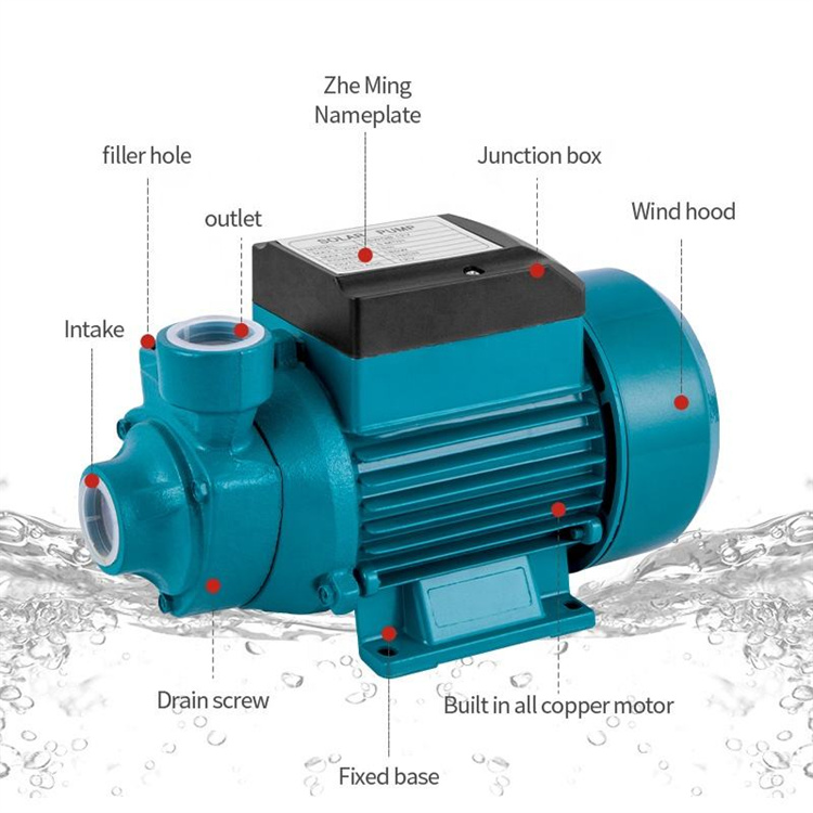 12V DC Solar Surface Water Pum - Solar Irrigation Pump 12V review and price