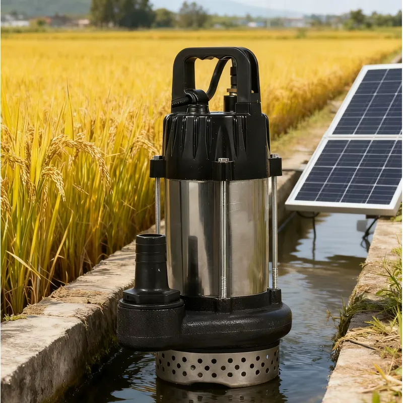 48V 500W Solar Water Pump 1 In - Solar Water Pump 48V Submersible review and price